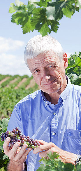 Xavier Farré, director de viticultura de Codorniu